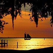 Sailing Destin II Photograph by James Granberry