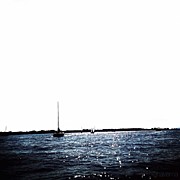 Sailing Photograph by Natasha Marco
