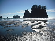 Seastacks at Second Beach La Push Photograph by Kelly Manning