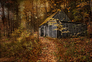 Secluded Photograph by Robin-Lee Vieira