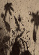 Shadow Life Photograph by Rebecca Sherman