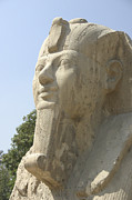 Small Sphinx Photograph by Darcy Michaelchuk