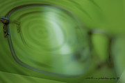 Spinner Vision Photograph by Vicki Ferrari