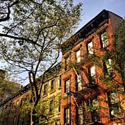 Spring Blossoms - New York City Photograph by Vivienne Gucwa