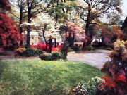 Spring in the Neighborhood Photograph by Susan Savad Spring in the Neighborhood Photograph by Susan Savad