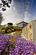 Spring Is Here Photograph by Tony Locke