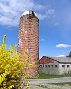 Spring Time Back In Time  Photograph by Kim Galluzzo