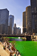 St Patrick's Day Chicago Photograph by Dejan Jovanovic