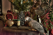 Still Life with Rosie Photograph by William Fields