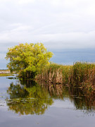 Still Waters Photograph by Peggy King