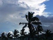 Stormy Weather Photograph by Peggy King