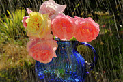 Summer Rain Photograph by Arthur Fix