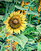 Sunflower Painting by Karl Wagner Sunflower Painting by Karl Wagner