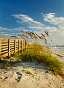 Sunny Day on the Boardwalk Amelia Island Florida Photograph by Dawna Moore Photography