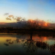 Sunset Reflections Photograph by Call Me Abbie - Abbie Shores