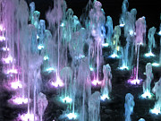 Symphony of color Photograph by Clara Sue Beym