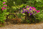 The Bike Stops Here - Niagara Photograph by Marilyn Cornwell