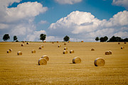 The Last Days Of Summer Photograph by Andreas Levi