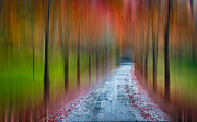 The Long Way Home Photograph by Joye Ardyn Durham