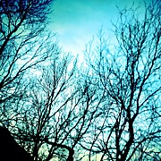 This Photo Is Available In My Photograph by U Schade