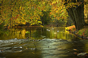 Thornapple River in October No.0009 Photograph by Randall Nyhof