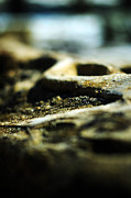 To the Sea Photograph by Rebecca Sherman