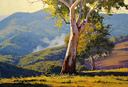 Turon Gum Tree Painting by Graham Gercken