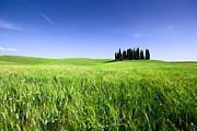 Tuscan scene Photograph by Francesco Riccardo Iacomino