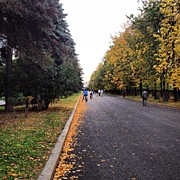 University Park / Парк МГУ Photograph by Sergey Mironov