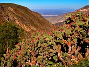 Valle del Desierto Photograph by Skip Hunt Valle del Desierto Photograph by Skip Hunt