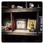 Vintage Photograph by Natasha Marco