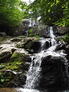 Waterfall  Photograph by Dennis Richardson