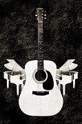White Guitar Butterfly Photograph by Andee Design