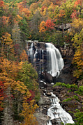 Whitewater Falls 4 Photograph by Joye Ardyn Durham