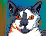 Wild Eyes Digital Art by Larry Beat