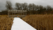 Winter Boardwalk Photograph by Azthet Photography