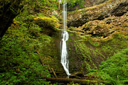 Winter Falls Photograph by Adam Jewell Winter Falls Photograph by Adam Jewell