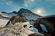 Winter or Christmas card Photograph by B Cash