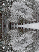 Winter Reflection Photograph by Aimee L Maher ALM GALLERY