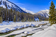 Wintery Numa Creek Photograph by David Buhler