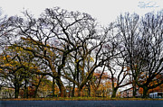 Wood Hood Photograph by S Paul Sahm Wood Hood Photograph by S Paul Sahm