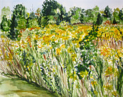 Yellow Field Painting by Clara Sue Beym