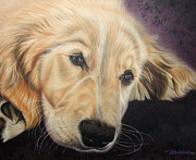 Yellow Lab Painting by Dan Menta