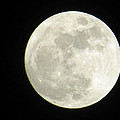 A Winter'sFullmoon over GA Photograph by Aaron Martens A Winter'sFullmoon over GA Photograph by Aaron Martens