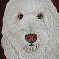 Golden Doodle by Peggy Holcroft Golden Doodle by Peggy Holcroft