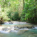 Mayfield Falls Jamaica by Debbie Levene Mayfield Falls Jamaica by Debbie Levene