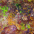 My Pretty Green Pallet by Karin Dawn Kelshall- Best My Pretty Green Pallet by Karin Dawn Kelshall- Best