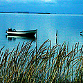 Peaceful Samsoe Island Denmark Photograph by Colette V Hera Guggenheim Peaceful Samsoe Island Denmark Photograph by Colette V Hera Guggenheim