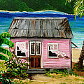 Pink Caribbean House by Karin Dawn Kelshall- Best Pink Caribbean House by Karin Dawn Kelshall- Best
