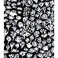 004 Floral Glow by Cheryl Turner